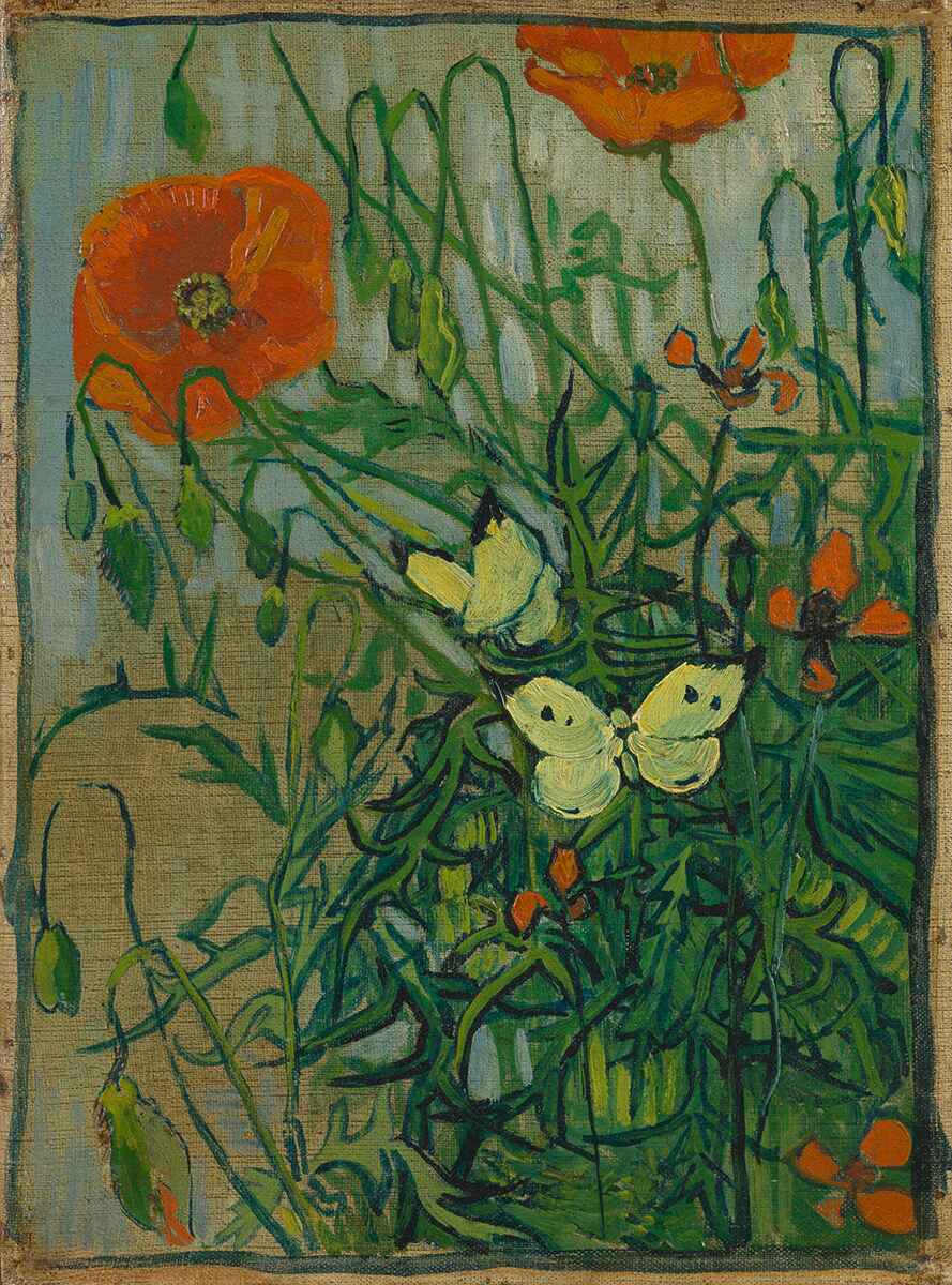 Butterflies and Poppies Van Gogh