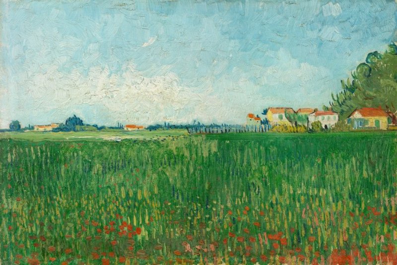 Field with Poppies Van Gogh