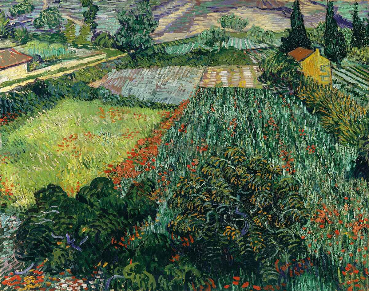 Vincent Van Gogh, Field with Poppies, 1889 VanGoghology